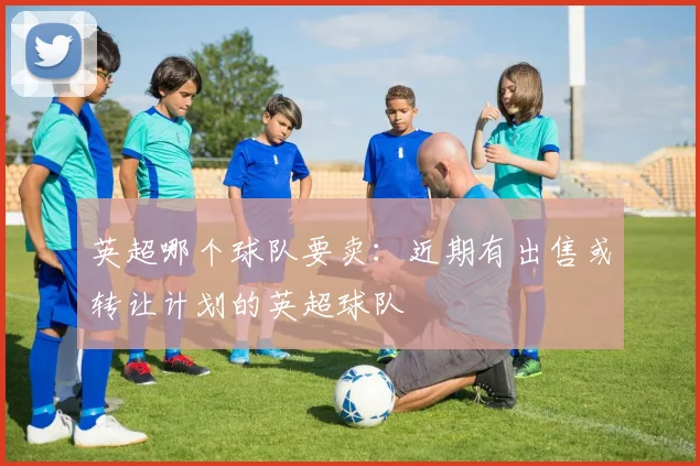英超哪个球队要卖：近期有出售或转让计划的英超球队