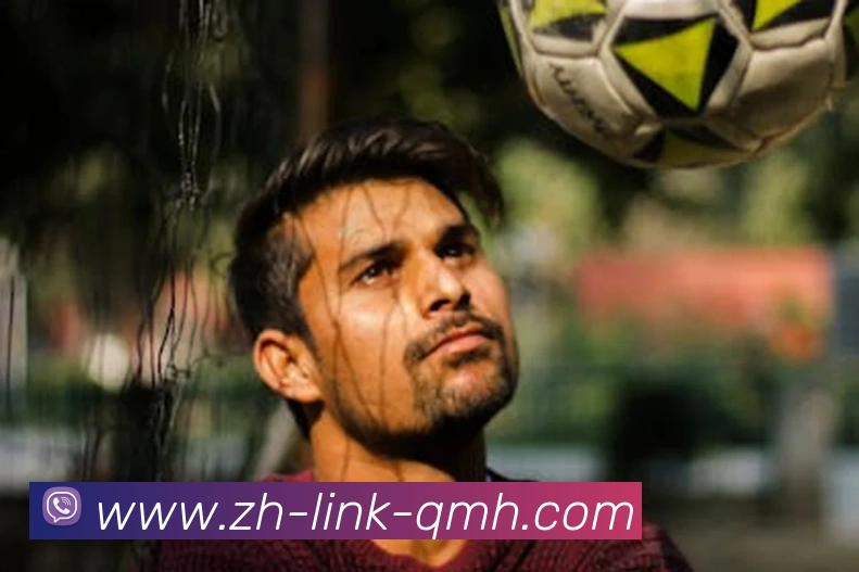 球盟会平台生态图